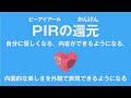 PIR(ピーアイアール)の還元 自分に優しくできる 内省できるようになる 内面的な美しさを外観で表現できるようになる 大嶋信頼さんの遺伝子コード