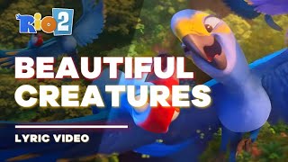 Rio 2 - Beautiful Creatures [Lyric Video / Letra]