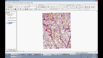 Tutorial ArcGIS 9.3: Upload and organize vector data