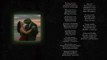 Turtle – Ven Conmigo (Official Audio) | From the album "Turtle Mode