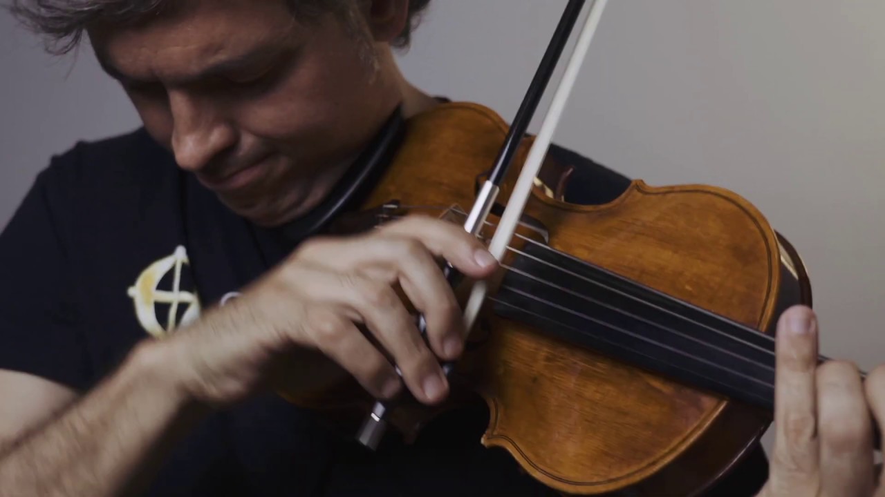 resbalón juego Teórico Cómo elegir un arco para un violín, viola o violonchelo? - 3Dvarius