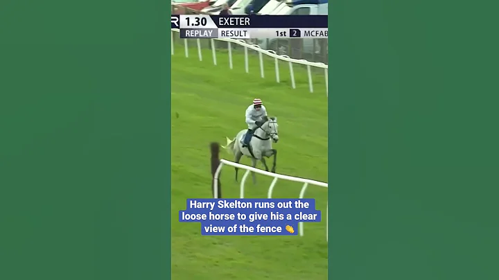 Incredible horsemanship 🤯 - DayDayNews