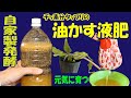 【液肥・園芸・家庭菜園】「窒素分タップリの発酵油かす液肥」の作り方