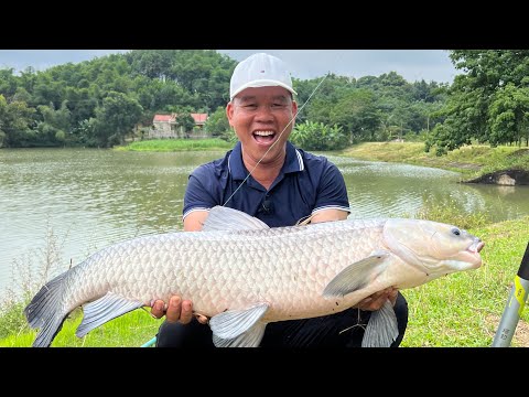Về Thanh Hoá câu cá đụng ngay cá trắm đen siêu khoẻ | Chung Nguyễn Fishing