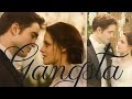 Bella and Edward - gangsta (edits)🖤 // Белла и Эдвард (клип)