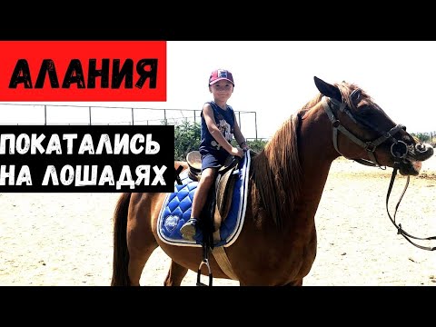 Жизнь в Алании (Турция, Анталия).Поехали прокатиться на лошадях в Хорс Клуб.