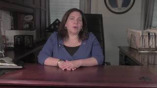 Majority Leader Catherine Borgia 2017 State of the County Rebuttal