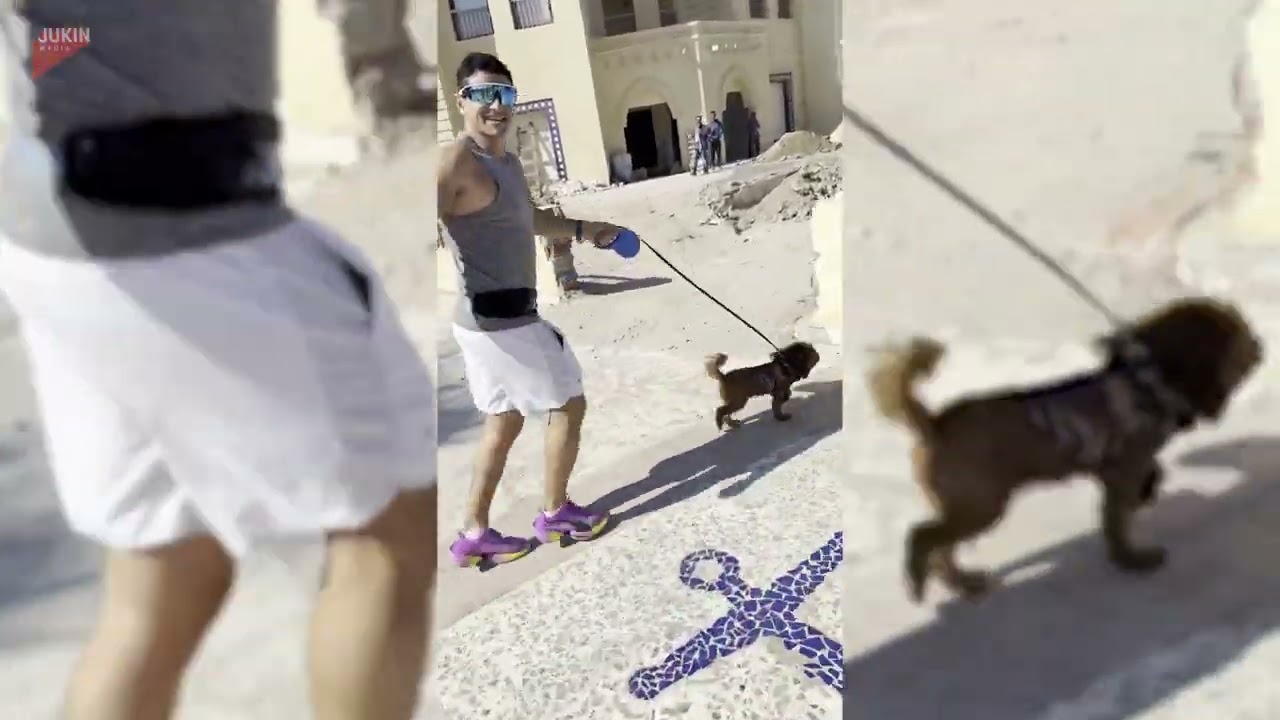 Мужчина, бегущий с собакой, врезался в ограждение - 1782018