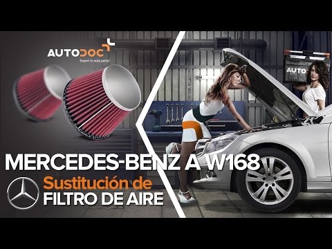 Bosch F026400409 Filtro de aire