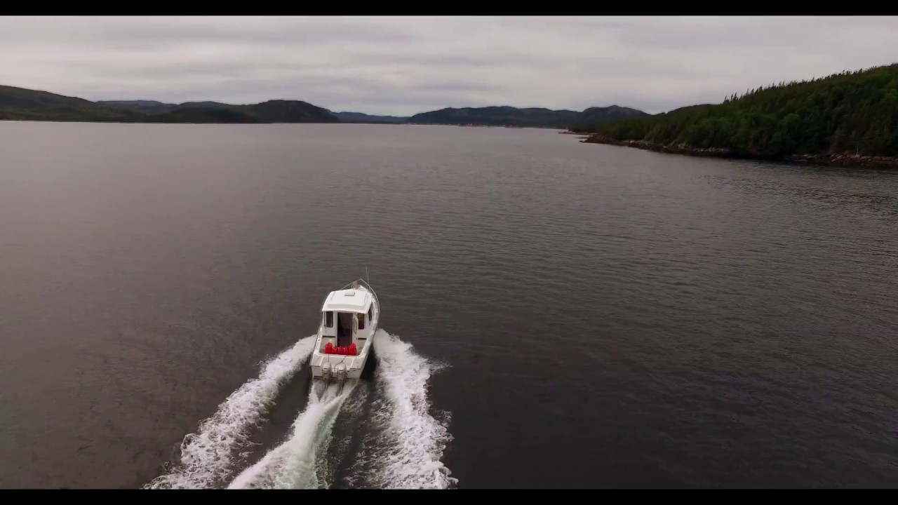 Clattice Harbour, Newfoundland YouTube