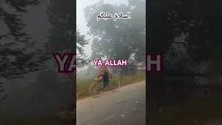 Allah