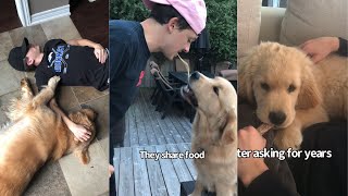 A Boy And His Dog A Love Story