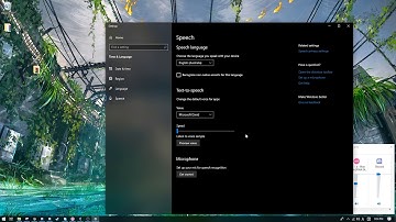 you have selected microsoft david as the default voice.