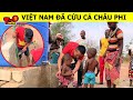 🔥Người Dân Châu Phi CẢM ƠN Việt Nam Hết Mức Vì Hành Động Hơn Cả Cứu Mạng Này