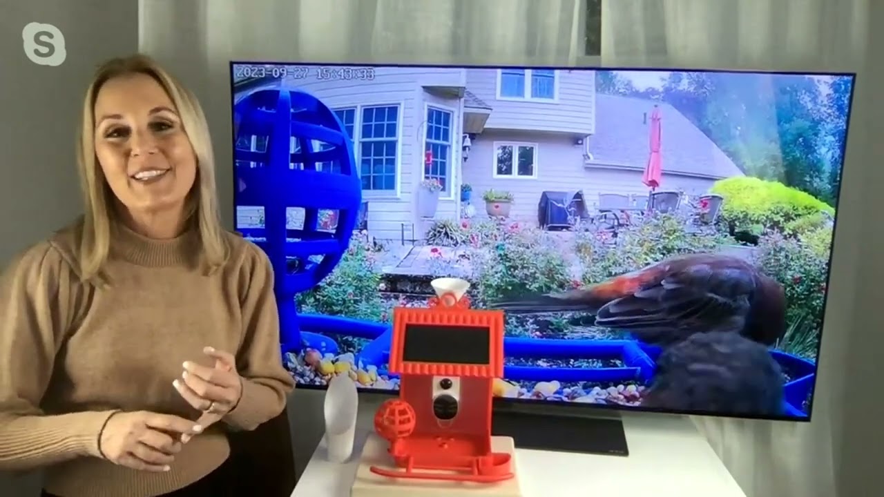 Hello Birdie Smart Bird Feeder with Solar Roof & Accessories on QVC