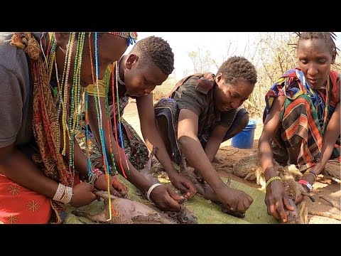Video: Chimp Kampına Gidiyor - Tanzanya'daki Bir Veterinerin Yakın Çekim Macerası