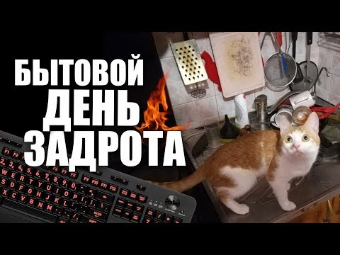 Видео: БЫТОВОЙ ДЕНЬ ЗАДРОТА 18+