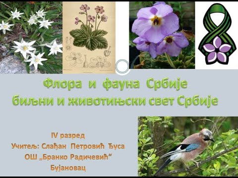 Biljni i zivotinjski svet Srbije - flora i fauna - IV razred - by Djusa