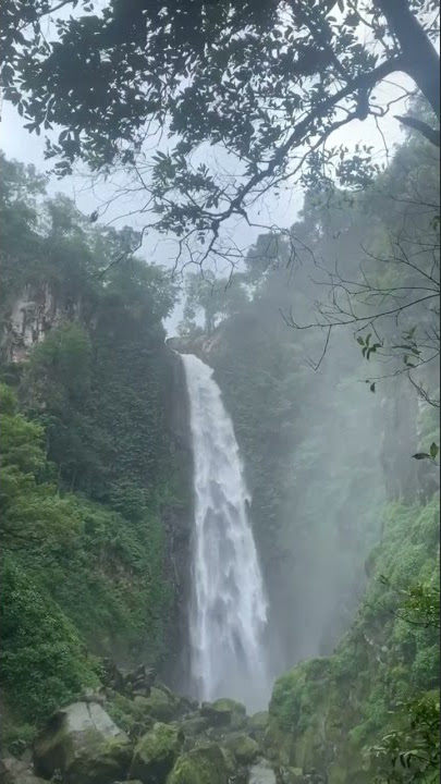 air terjun #airterjun #airterjunindonesia #statuswa #fyp #adem #sejuk