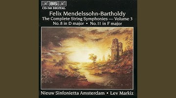 Sinfonia No. 8 in D Major, MWV N8: IV. Allegro molto (Version for string orchestra)