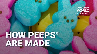 Candy Creation: How PEEPS® Are Made