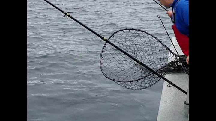 Marvin Kidd with a nice tuna 8/9/18