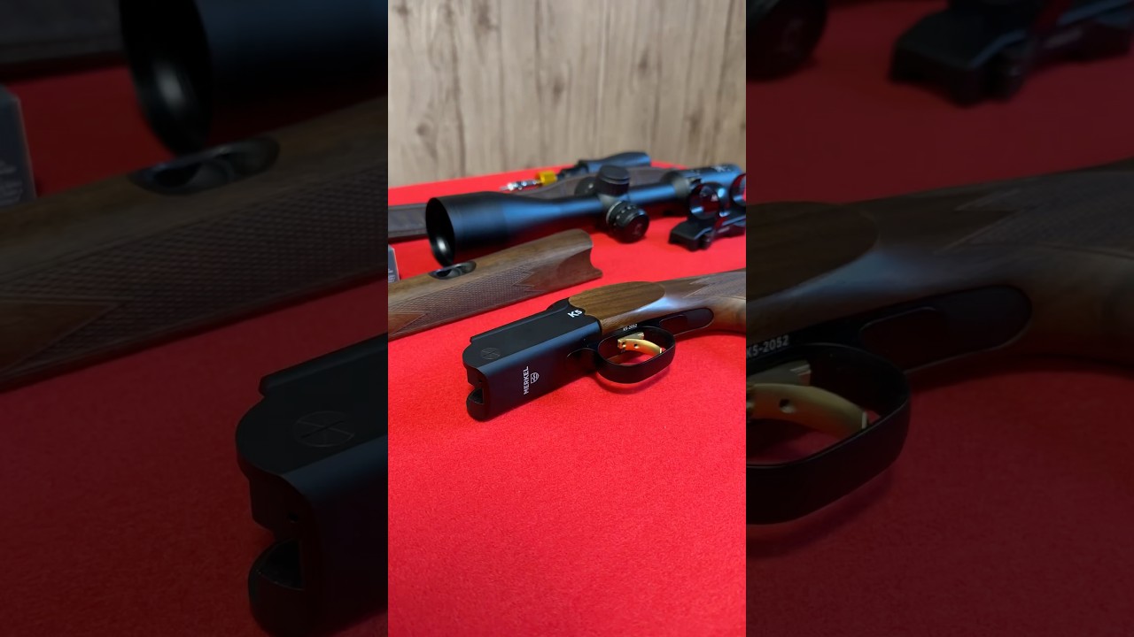 Project Merkel K5 - 308 win + Noblex 2-12x50