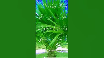 القران الكريم سورة آل عمران اية 147 #مقاطع_دينية #تلاوة_خاشعة  #المصحف #دعاء #ذكر_الله #تدبر_القرآن