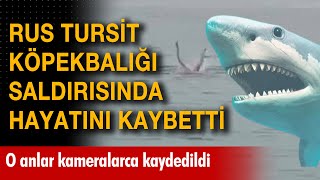 Rus Turiste Köpek Balığı Saldırdı O Anları Kameralar Kaydetti