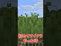 マイクラ初心者あるある　part11 #マイクラ #マインクラフト#豆知識 #minecraft #shorts