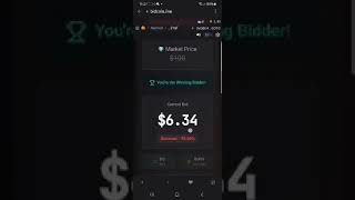 Learn how to bid on bidcoin auction