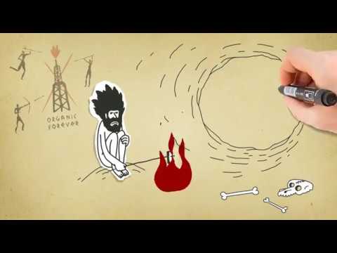 Из чего сделаны
