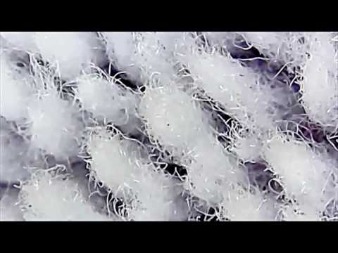 Простые вещи под микроскопом. usb microscope