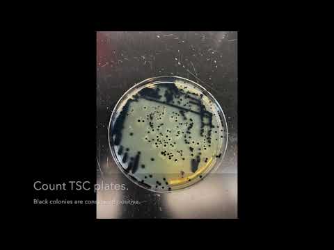 Video: Průjem Způsobený Clostridium Perfringens U Psů