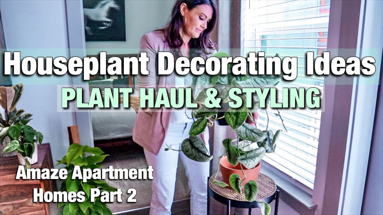 HOUSEPLANT DECORATING IDEAS // PLANT HAUL & PLANT STYLING HOUSEPLANT DECORATING IDEAS // PLANT HAUL & PLANT STYLING