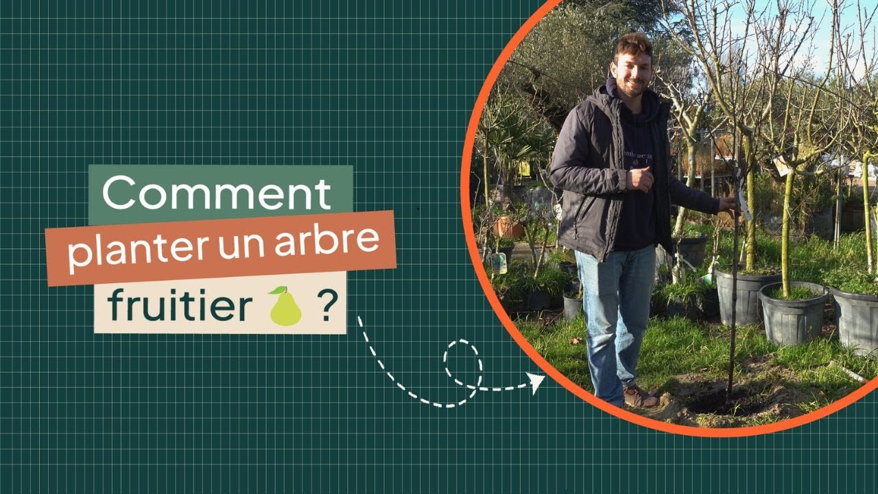 Comment planter un arbre fruitier ?