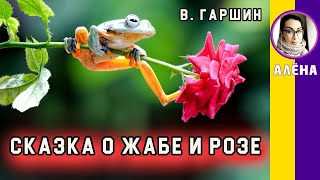 Краткое содержание Сказка о жабе и розе. Гаршин В. М. Пересказ за 5 минут