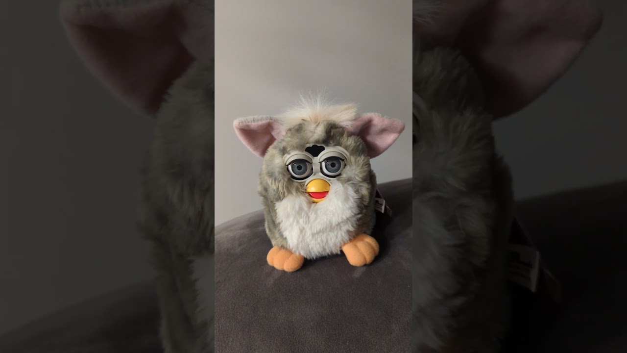 Got a new 98 original Furby but it's sick 