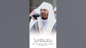 القران الكريم تلاوة ياسر الدوسري سورة القلم #المصحف #لايك #اكسبلور #راحة_نفسية