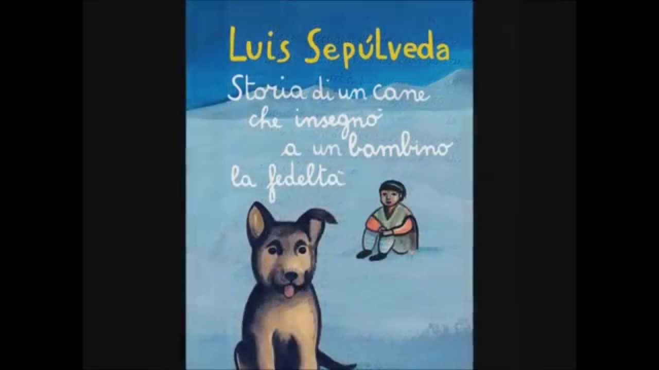 STORIA DI UN CANE CHE INSEGNÒ A UN BAMBINO LA FEDELTÀ - YouTube