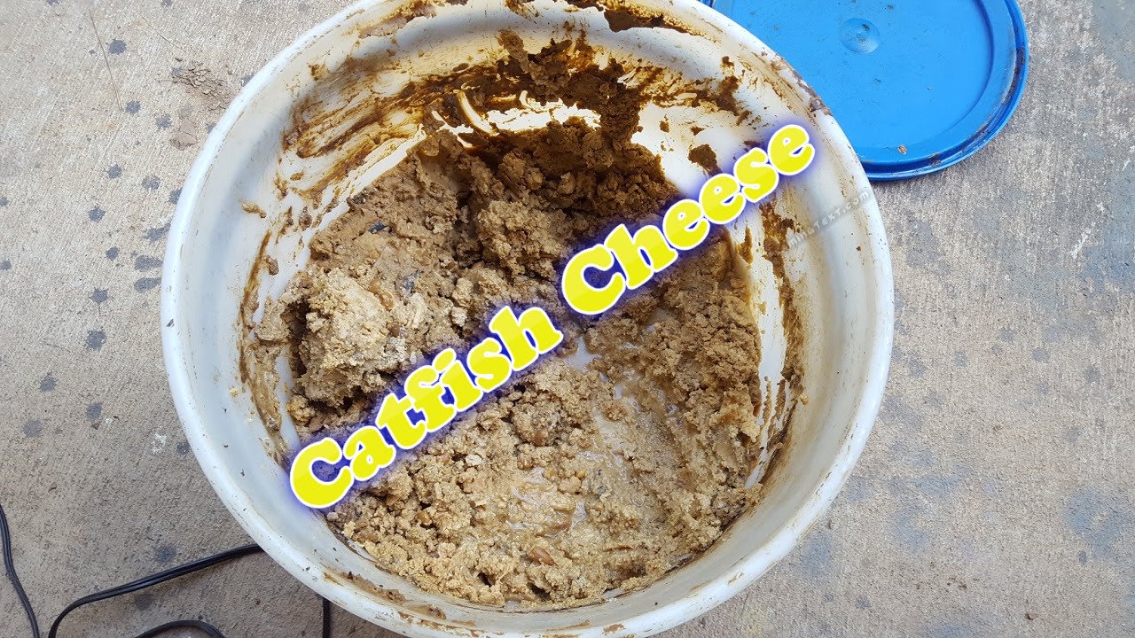 What is Catfish Cheese and DIY Catfish Cheese Punch Bait 