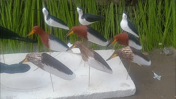 Cò xốp, nan tre, nan cáp quang, cò ngà, cò bợ, cò cói, cò mã, chân hương, còng cọc, vịt trời, sâmxốp