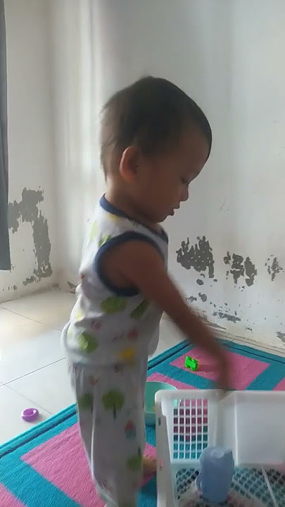 Stelan daboi #music #reggae #cover #dancehall #song #beach #mobilmainan