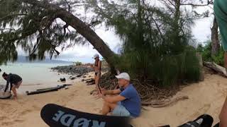Maui Sea Turtle Rescue BTS