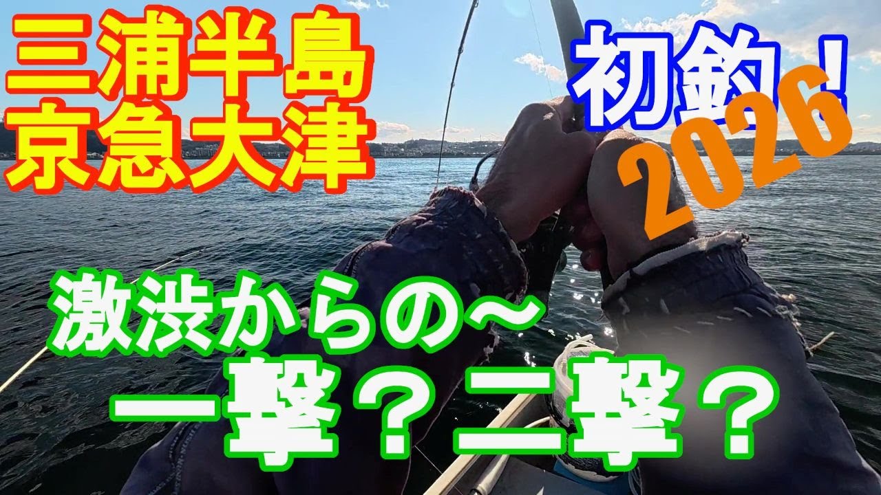 ♯342【京急大津ボート釣り】初釣りは釣況激変で大苦戦！？アジが消えてもあの魚はいる！