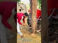 力の技:木材と鉄筋で石を砕く方法