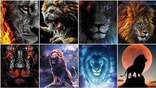 Attitude Lion DPZ/Wallpapers/images/photos/pics | Lion dp photos | Lion Wallpaper Image | Lion Photo screenshot 5