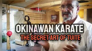 Okinawan Karate, Tuite interview with Javier Martinez subtitles in English