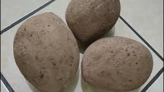 Buah Unik dari Sabah ; Bambangan