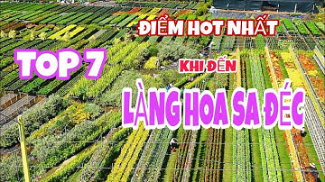 TOP 7 ĐIỂM HOT NHẤT: Khi Bạn Đến Tham Quan Làng Hoa Sa Đéc ( Flower Village )|| PHONG RÂU VLOG